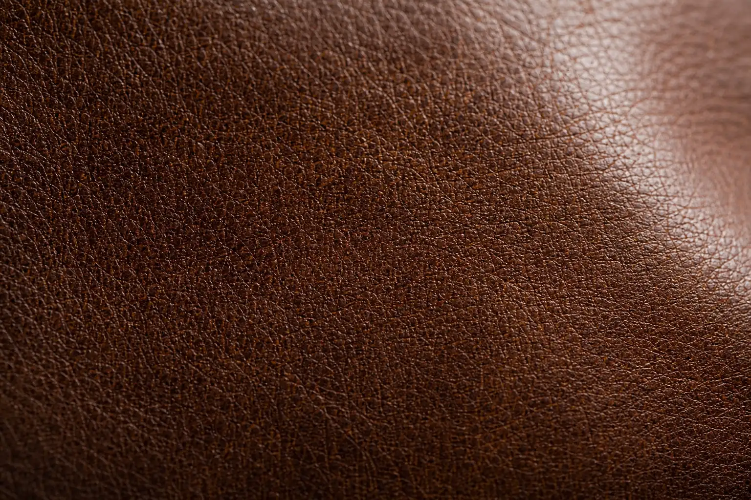 leather grading system full-grain leather surface texture close-up